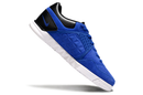 Nike Gato Futsal - Blue