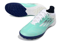 Adidas F50 Elite Society TF