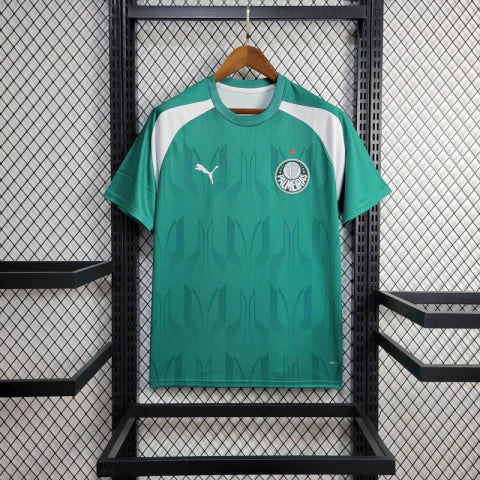 Camisa Palmeiras Treino 24/25 Torcedor Masculina